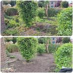 Tuinonderhoud in Rotterdam, Diensten en Vakmensen, Tuinmannen en Stratenmakers