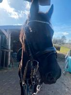 Mooi donkerbruin hoofdstel full, Ophalen of Verzenden, Zo goed als nieuw, Recreatie
