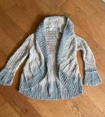 Vest van Elisa Cavaletti mt 38, Kleding | Dames, Truien en Vesten, Maat 38/40 (M), Verzenden, Elisa Cavaletti, Grijs