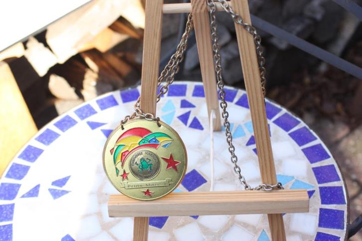 Kwakvorse Maastricht Vijverdal Prins Marc I medaille mooi, Verzamelen, Overige Verzamelen, Gebruikt, Ophalen of Verzenden