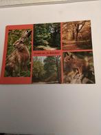 HULSHORST. VAKANTIEVERBLIJF. "DE WATERLELIE", Ophalen of Verzenden