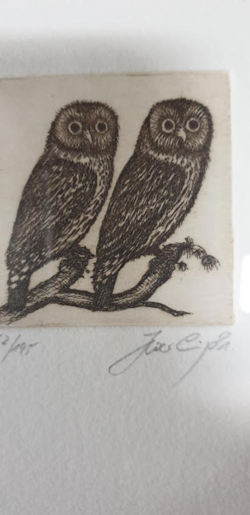 Uilen: 3 etsen van Hartmut Sparling in fraaie lijsten, Antiek en Kunst, Kunst | Etsen en Gravures, Ophalen of Verzenden