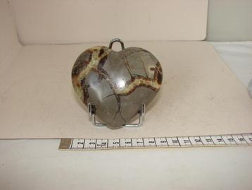 Septarie hart van 8cm beschikbaar voor biedingen