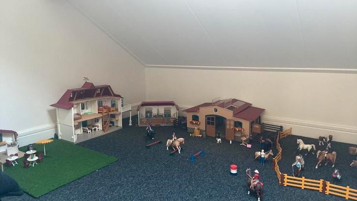 Heel veel leuke Schleich!, Verzamelen, Speelgoed, Ophalen of Verzenden