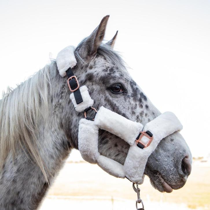 Fluffy halster creme/wit in de maten Pony, Cob en Full, Dieren en Toebehoren, Paarden en Pony's | Hoofdstellen en Tuigage, Nieuw