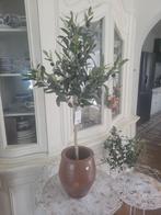 kunst olijfboompje nieuw Clayre & Eef 39,95 p/st, Huis en Inrichting, Belle Vieille Brocante, Nieuw, Ophalen of Verzenden, Jolandamonsieurs@gmail.com