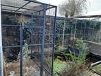 voliere, Dieren en Toebehoren, Vogels | Hokken en Kooien, Ophalen, Gebruikt, Aluminium, Volière