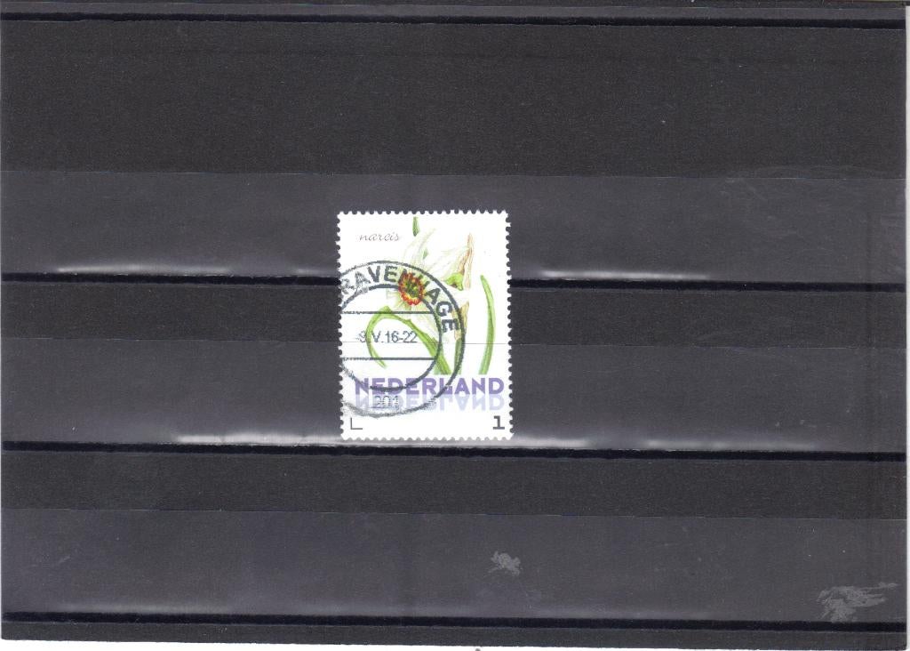 Nederland Kaderpostzegel Narcis gest, Ophalen of Verzenden, Gestempeld