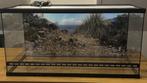 Terrarium met achtergrond 100x50x50, Dieren en Toebehoren, Reptielen en Amfibieën | Toebehoren, Ophalen, Nieuw, Terrarium of Paludarium
