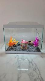 Aquarium en Toebehoren, Dieren en Toebehoren, Vissen | Aquaria en Toebehoren, Ophalen, Zo goed als nieuw, Leeg aquarium