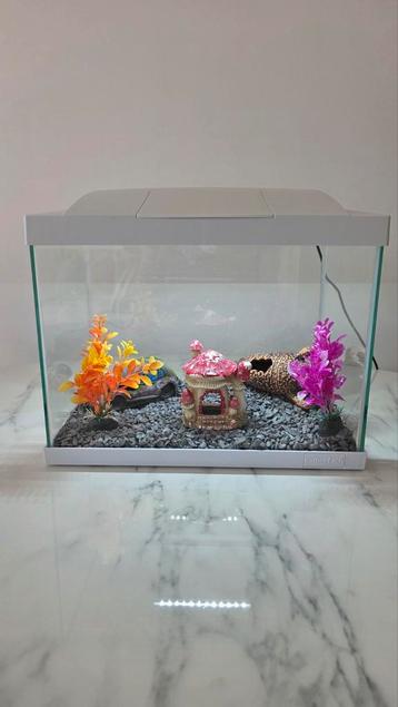 Aquarium en Toebehoren beschikbaar voor biedingen