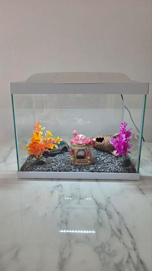 Aquarium en Toebehoren, Dieren en Toebehoren, Vissen | Aquaria en Toebehoren, Zo goed als nieuw, Leeg aquarium, Ophalen
