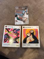 Adobe indesign , adobe illustrator boeken, Ophalen of Verzenden, Beta, Zo goed als nieuw, HBO