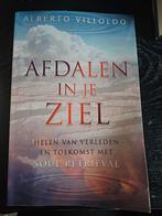 Afdalen in je Ziel - Alberto Villoldo, Boeken, Achtergrond en Informatie, Ziel of Sterfelijkheid, Ophalen of Verzenden, Zo goed als nieuw