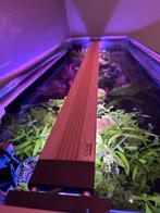 Oase Highline premium Led, Dieren en Toebehoren, Ophalen of Verzenden, Verlichting of Verwarming