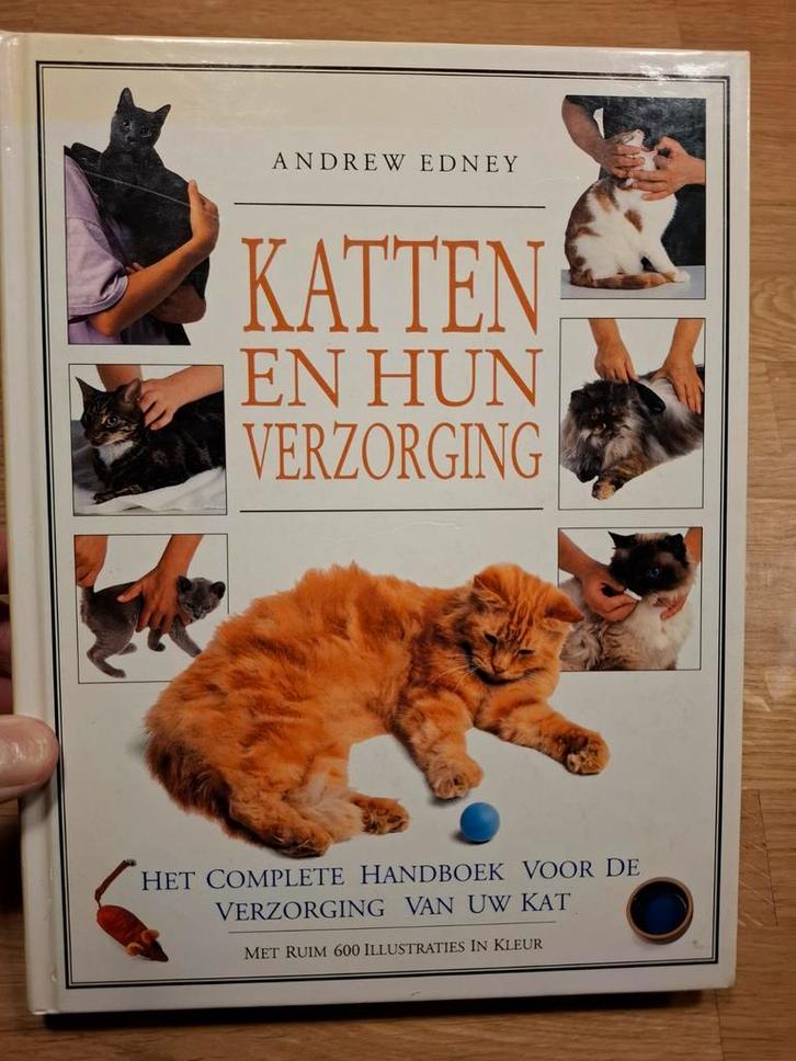 Katten en hun verzorging - Andrew Edney, Boeken, Dieren en Huisdieren, Zo goed als nieuw, Katten, Ophalen of Verzenden