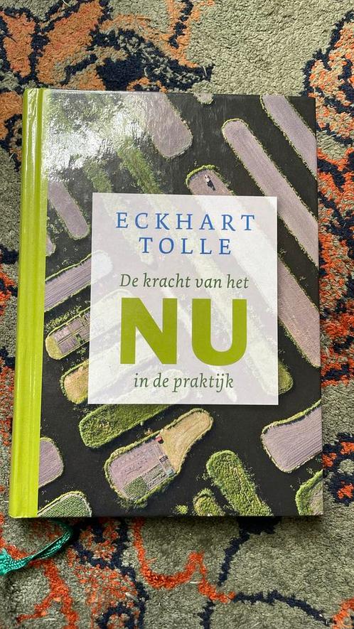 Eckhart Tolle - De kracht van het nu in de praktijk, Boeken, Esoterie en Spiritualiteit, Zo goed als nieuw, Spiritualiteit algemeen