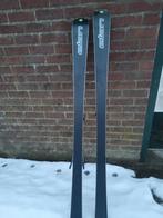 Mooie Elan ski's - weinig gebruikt!, 160 tot 180 cm, Zo goed als nieuw, Carve, Skiën