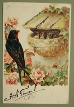Zwaluw bij nestje - Vogel - 1901, Ophalen of Verzenden, Voor 1920, Gelopen, Vogel