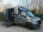 Renault Master Paardenwagen STX Hengsten Horsetruck, Gebruikt, Overige typen, Ophalen of Verzenden, Overige materialen