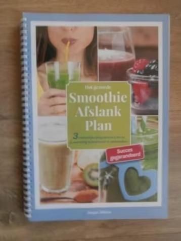 Het gezonde smoothie afslank boek - Jasper Alblas beschikbaar voor biedingen