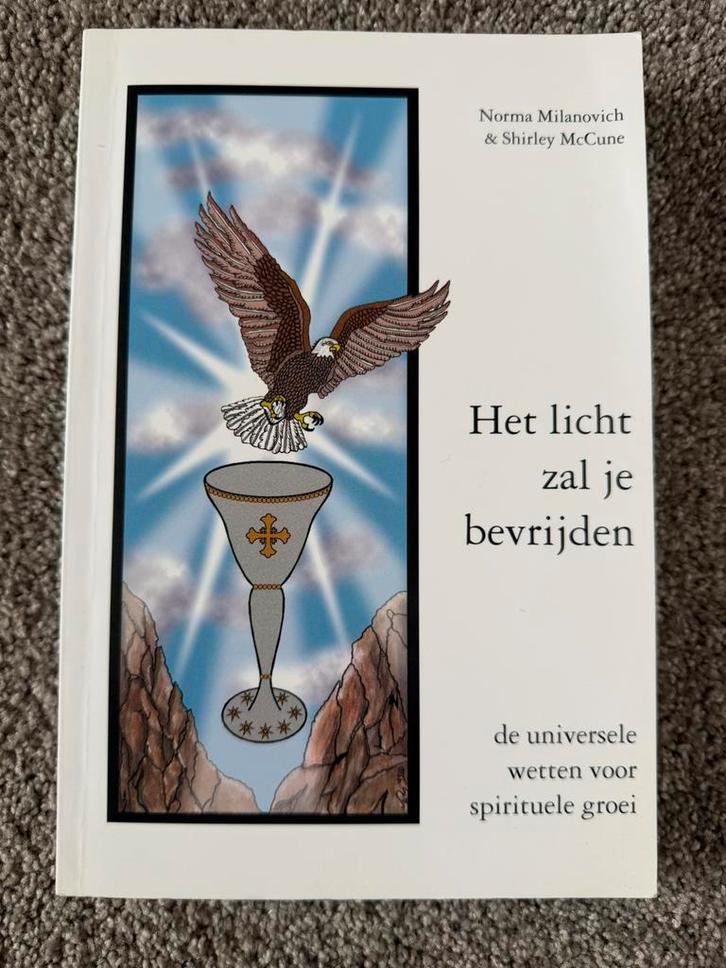 Het licht zal je bevrijden - N. Milanovich, Boeken, Filosofie, Zo goed als nieuw, Verzenden