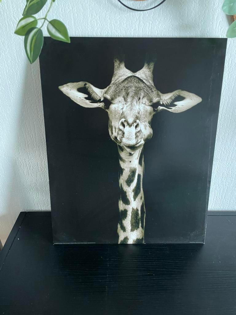 Afbeelding kinderkamer giraffe, Ophalen of Verzenden, Foto of Poster, Minder dan 50 cm