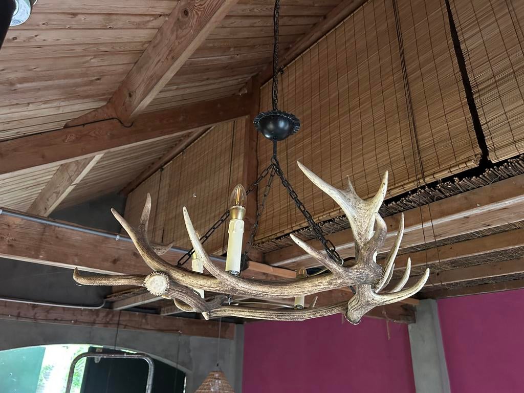 Herten gewei kroonluchter/ hanglamp, Huis en Inrichting, Lampen | Kroonluchters, Ophalen, Zo goed als nieuw