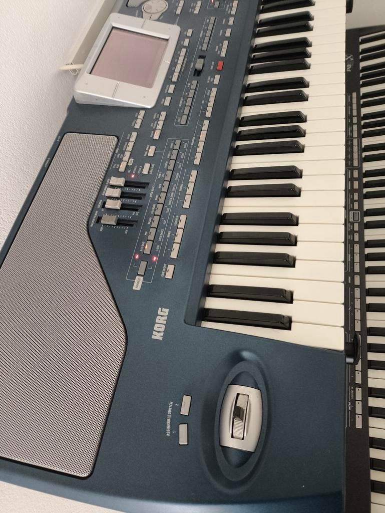 KORG PA 800 oriental, Ophalen of Verzenden, 61 toetsen, Korg