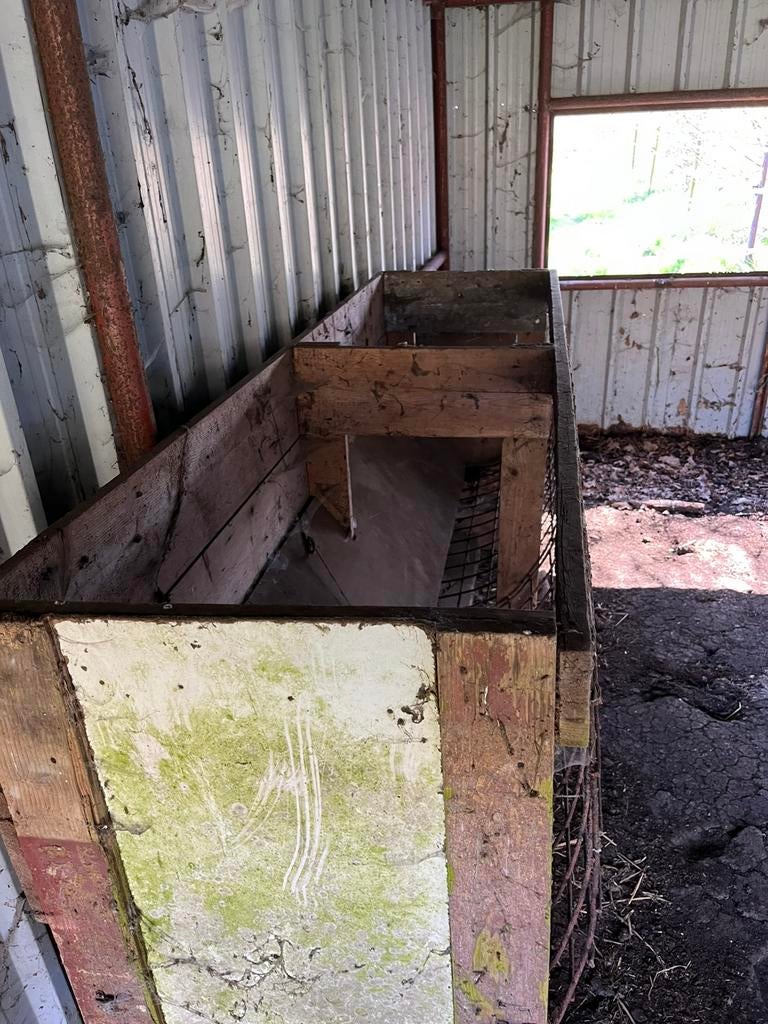 Hooiruif, Meerdere dieren, Schaap