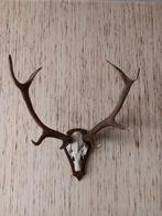 Hertengewei, Ophalen of Verzenden, Zo goed als nieuw, Hert, Gewei of Kop