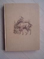 Op de bergwei  Hermann Lons  jacht jagen, Ophalen of Verzenden, Gelezen, Vogels