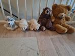 Diverse knuffels ( ook los te koop), Ophalen of Verzenden, Gebruikt, Beer