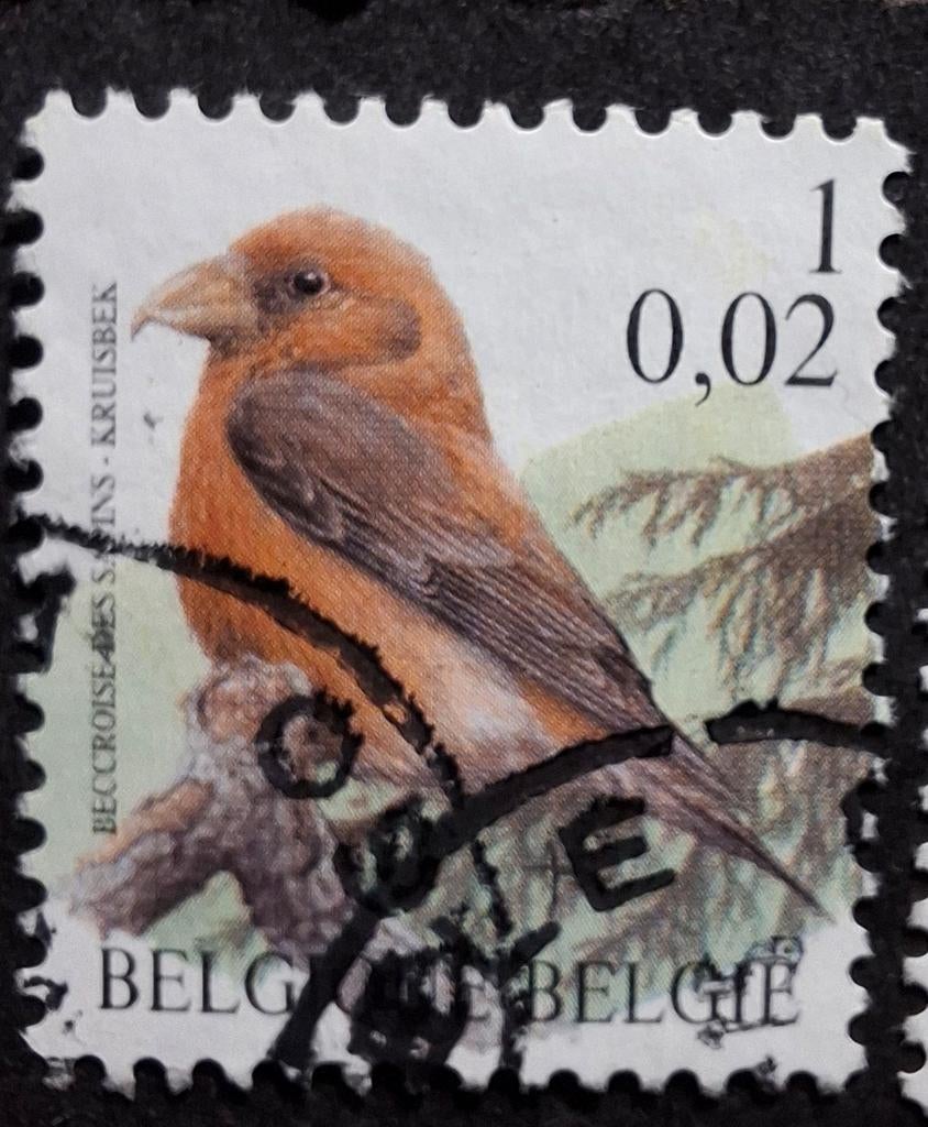 België 849 kruisbek, Ophalen of Verzenden