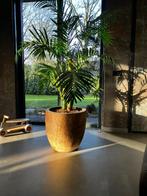 Bloempot, Ophalen, Overige materialen, 40 cm of meer, Rond