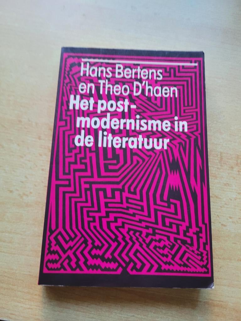 Het postmodernisme in de literatuur, Boeken, Filosofie, Ophalen of Verzenden