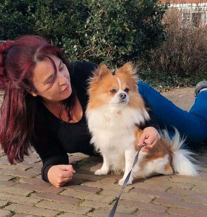 Hondenoppas Vakantie Honden opvang, oppas, Dieren en Toebehoren, Honden-accessoires, Ophalen of Verzenden