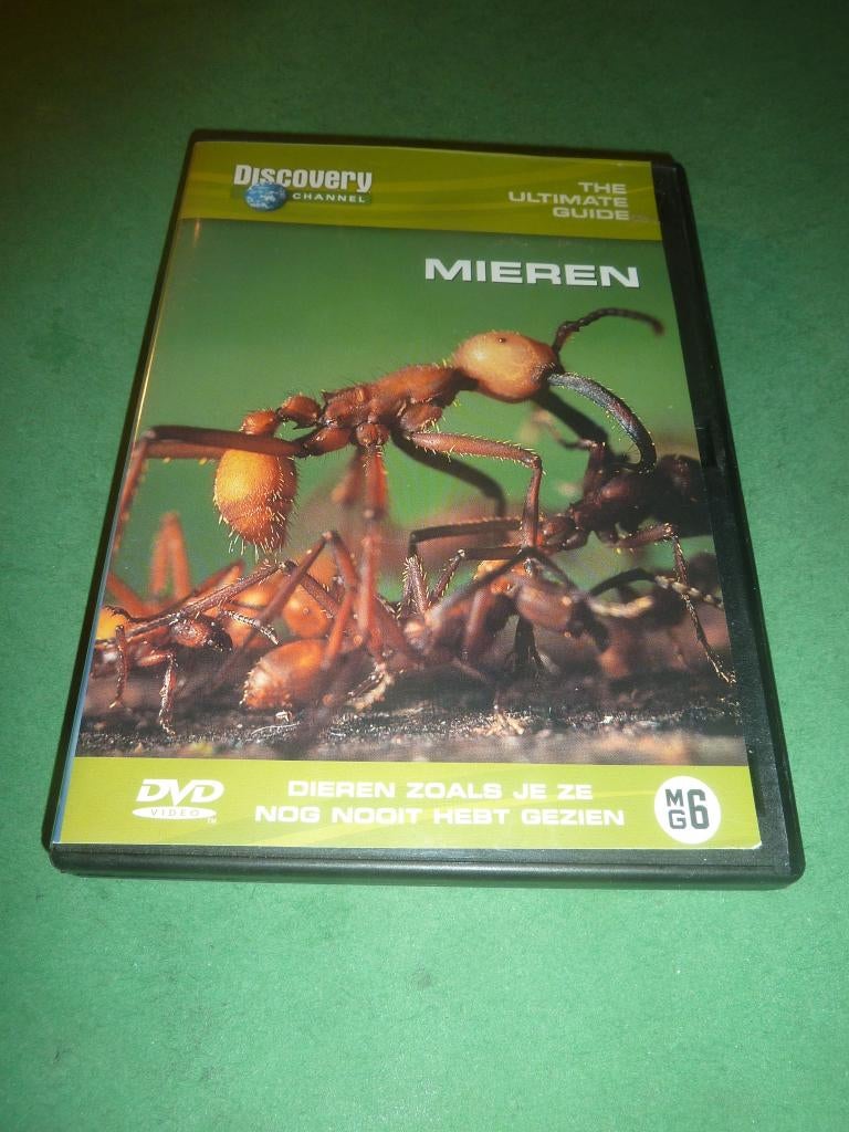 Mieren, Alle leeftijden, Verzenden, Zo goed als nieuw, Natuur
