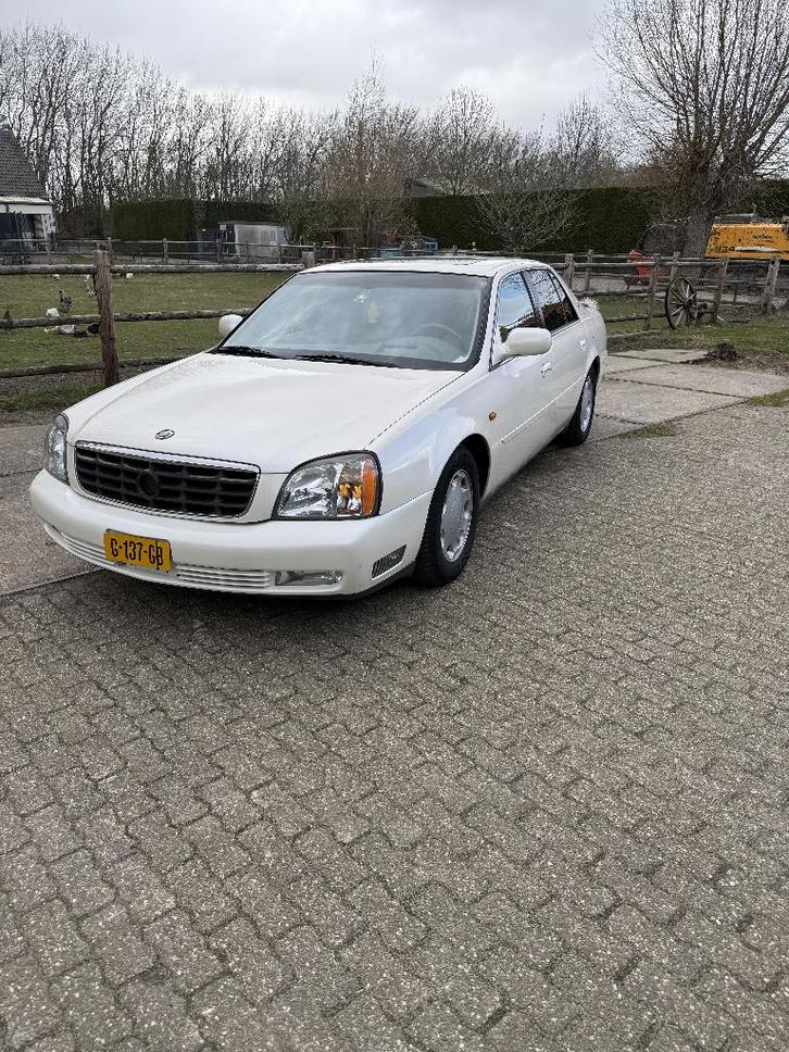 Cadillac 2000 Wit, Auto's, Cadillac, Particulier, Overige modellen, ABS, Airbags, Airconditioning, Centrale vergrendeling, Cruise Control