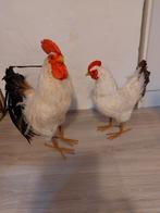 Haan en kip, Ophalen of Verzenden