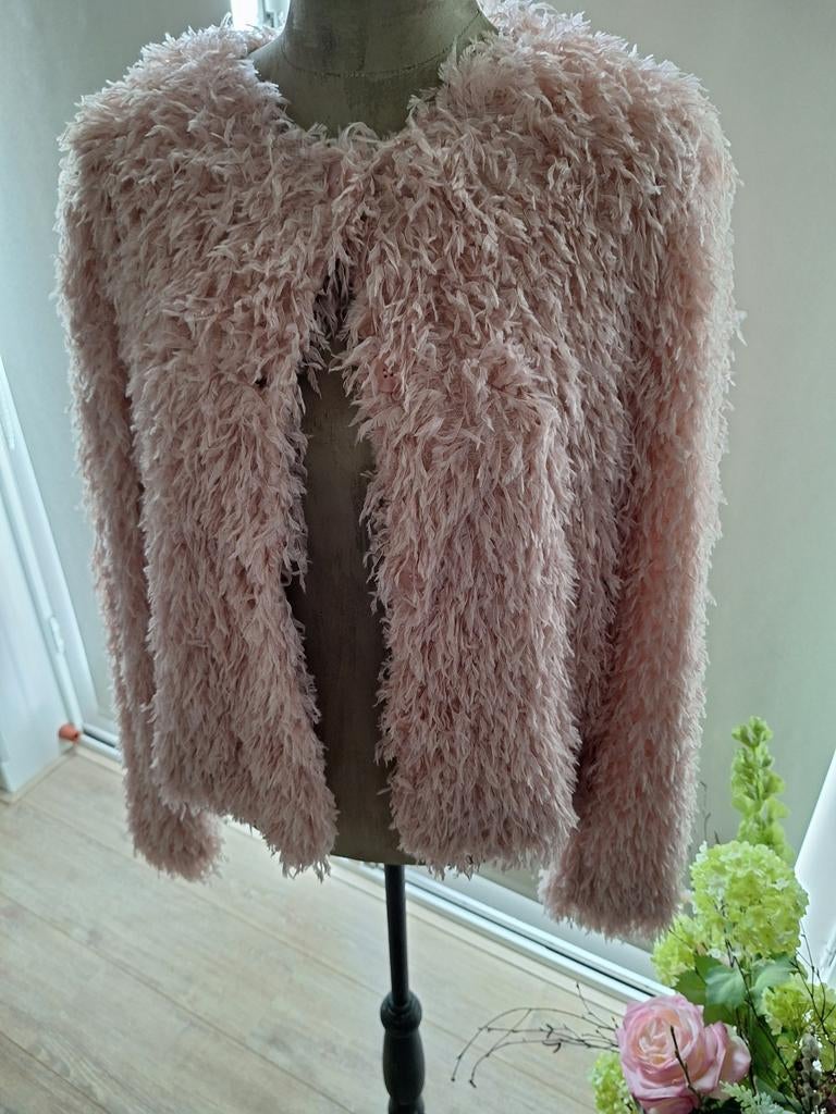 Prachtig vest van Oui maat 42, Ophalen of Verzenden, Zo goed als nieuw, Maat 42/44 (L), Roze