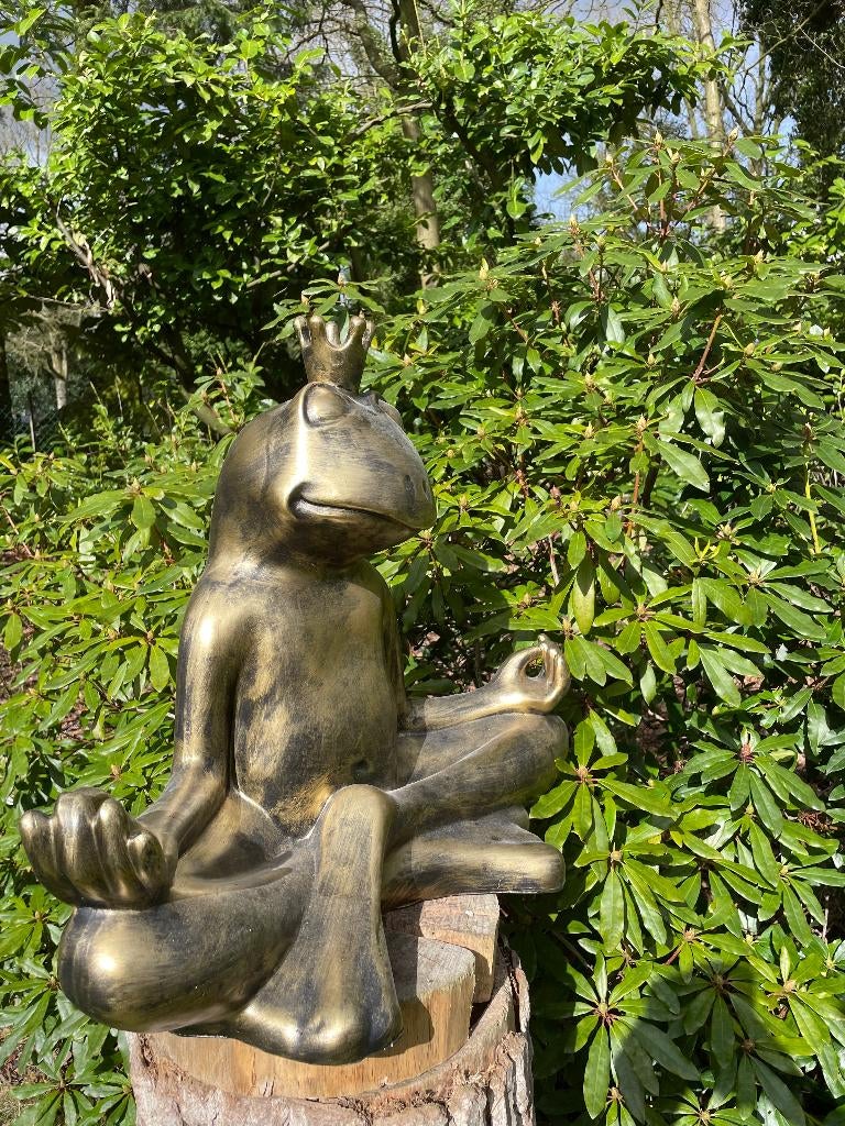 Beeld Zen kikker, tuin, zen, zwembad, vijver yoga 60cm, Ophalen, Nieuw, Kunststof, Dierenbeeld