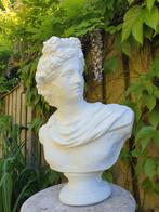 Buste Apollo , borstbeeld , aanbieding, Ophalen of Verzenden, Atw, Atw, Nieuw