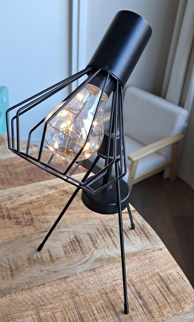Lampje met batterij, Ophalen of Verzenden, Minder dan 50 cm