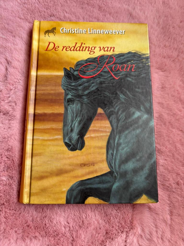 De redding van Roan Cristine Linneweever, Boeken, Ophalen of Verzenden, Zo goed als nieuw