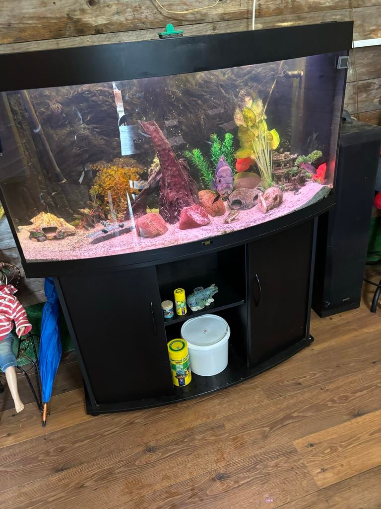 Aquarium Juwel vision 260, Dieren en Toebehoren, Vissen | Aquaria en Toebehoren, Ophalen, Zo goed als nieuw, Gevuld zoetwateraquarium