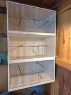 Vogel broedkooi driedelig., Ophalen, Hout, Broedkooi of Kweekkooi