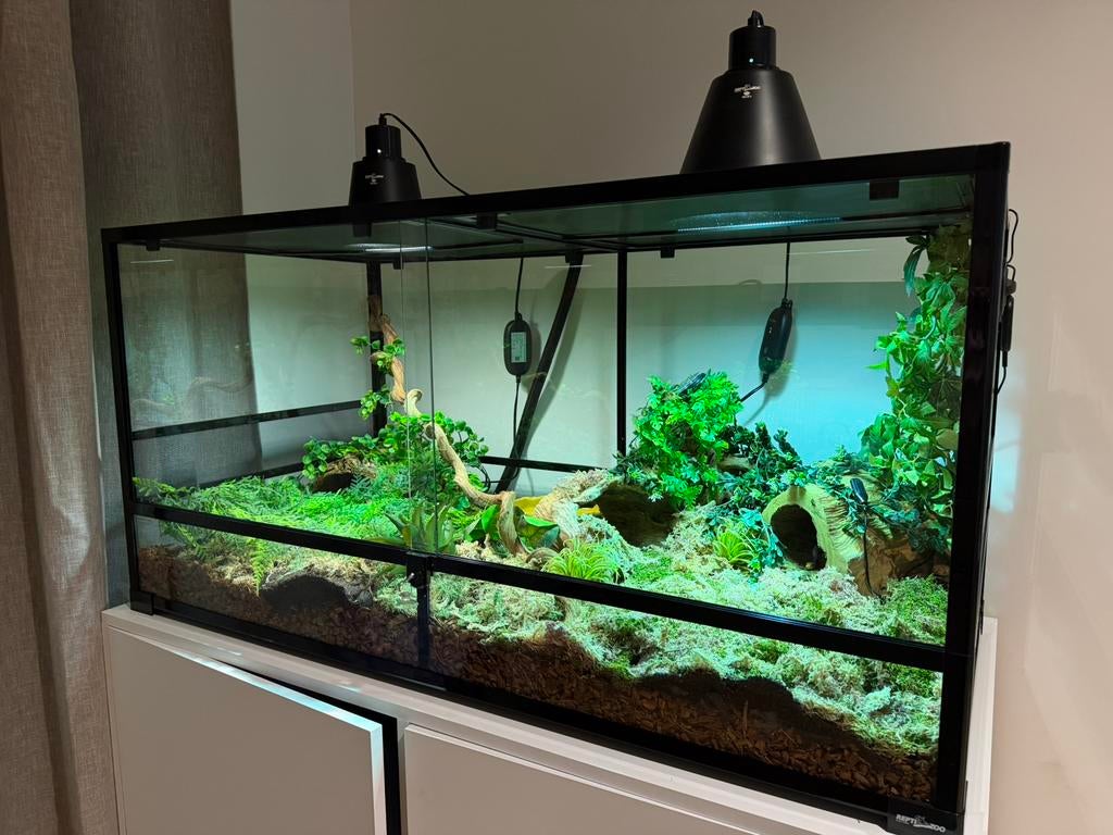 Repti Zoo RK0226 terrarium 120x60x45 cm – NIEUW, Dieren en Toebehoren, Reptielen en Amfibieën | Toebehoren, Ophalen of Verzenden