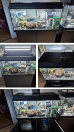 Prachtige Juwel primo 110 L aquarium met 2xled!+shoptegoed, Dieren en Toebehoren, Vissen | Aquaria en Toebehoren, Ophalen, Leeg aquarium