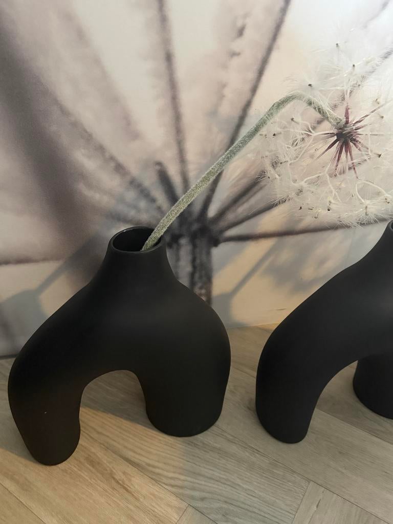2 zwarte HM vazen met 2 paardebloemen, Huis en Inrichting, Woonaccessoires | Vazen, Ophalen, Overige materialen, Zwart, Zo goed als nieuw